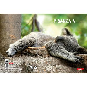 pisanka-a-target---extra-kvaliteta-koala-19627-7-li_1.jpg