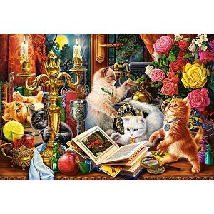 puzzle-castorland-1000kom-macici-carobnjaci-c-104857-2-10485-54356-56394-amd_1.jpg