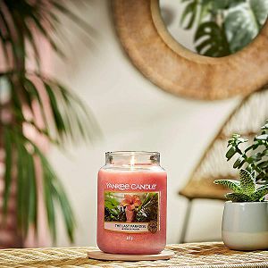 svijeca-mirisna-yankee-candle-classic-large-the-last-paradis-86650-lb_2.jpg